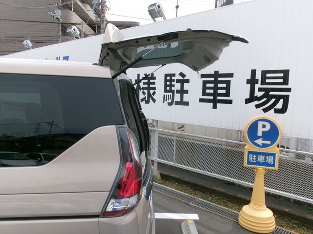 SERENA  S-HYBRID