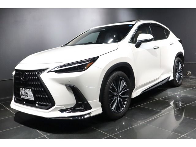 LEXUS NX450h+ AWD