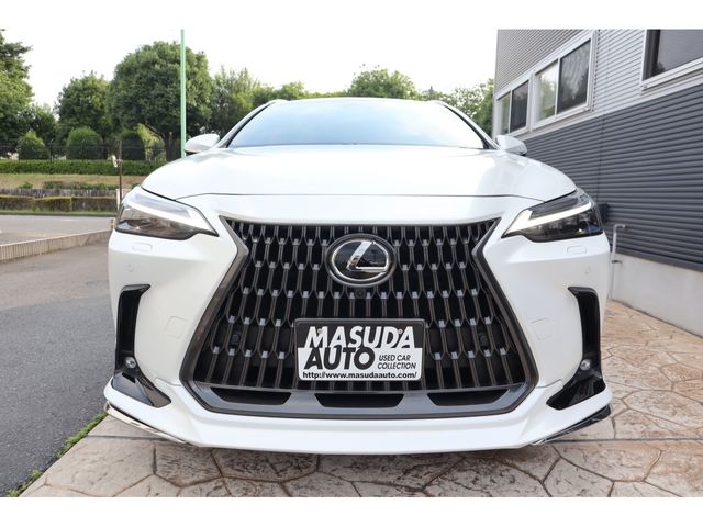 LEXUS NX450h+ AWD