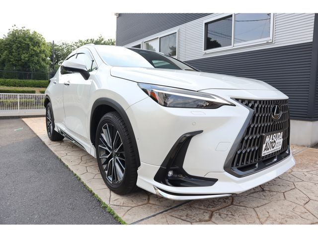 LEXUS NX450h+ AWD
