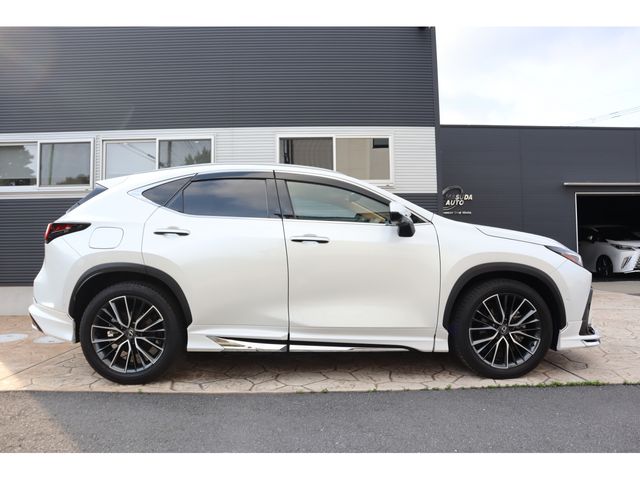 LEXUS NX450h+ AWD