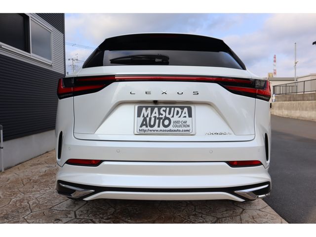 LEXUS NX450h+ AWD