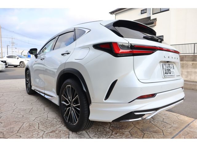 LEXUS NX450h+ AWD