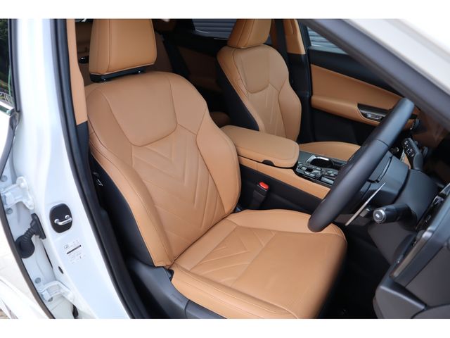 LEXUS NX450h+ AWD