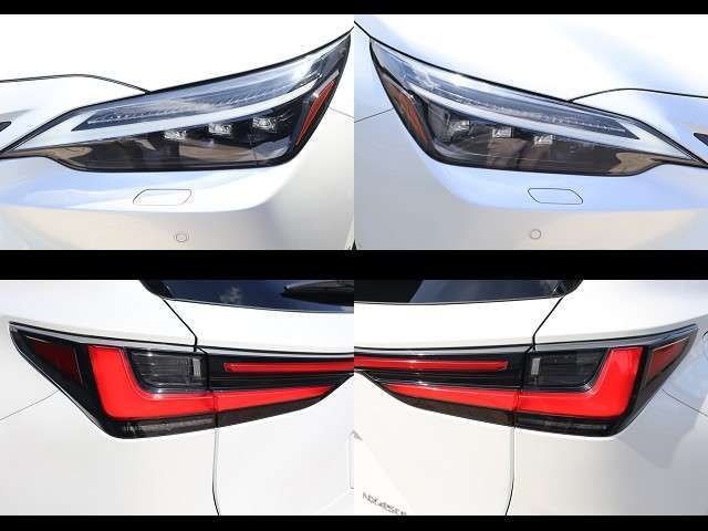LEXUS NX450h+ AWD