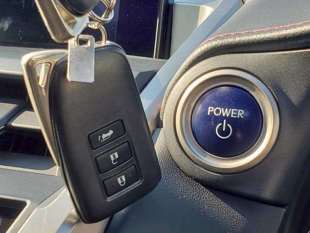 LEXUS NX300h