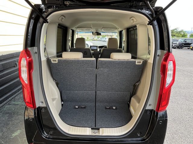 MDX