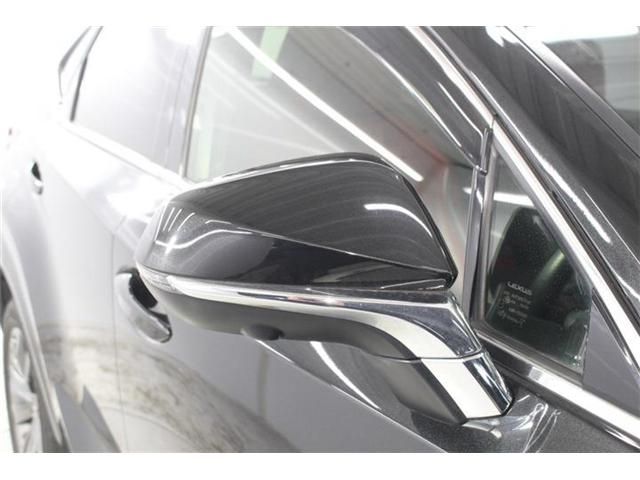 LEXUS NX300 AWD