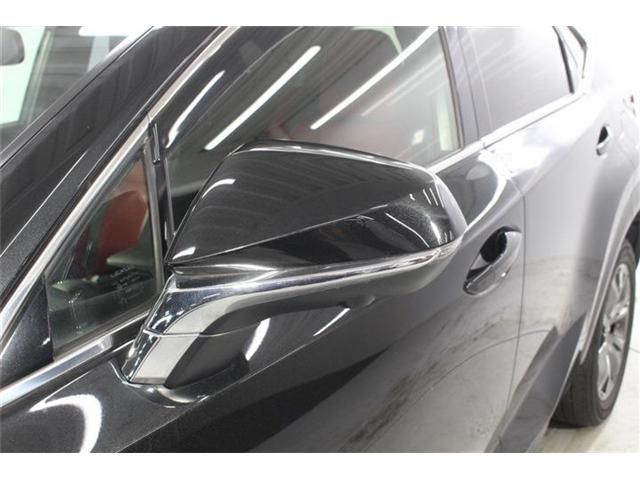 LEXUS NX300 AWD
