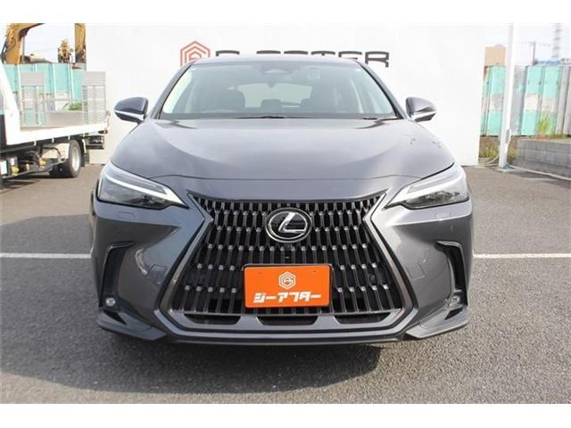 LEXUS NX350h AWD