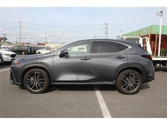 LEXUS NX350h AWD