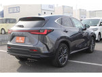 LEXUS NX350h AWD