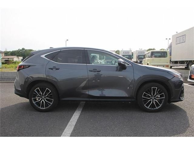 LEXUS NX350h AWD