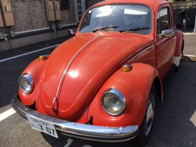 VOLKSWAGEN BEETLE