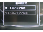 RAIZE