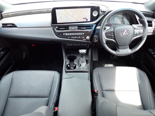 LEXUS ES300h