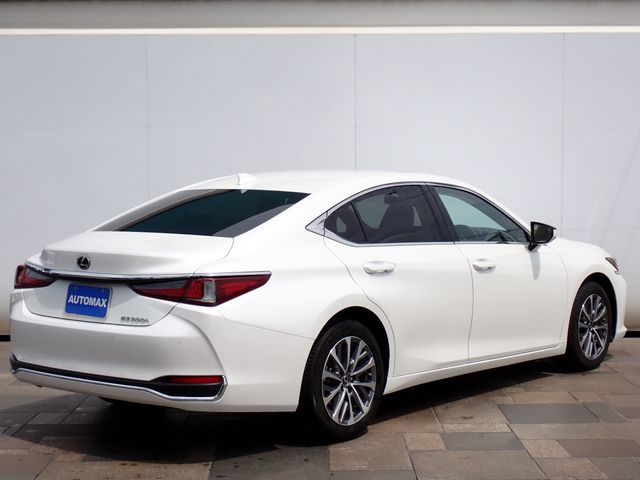 LEXUS ES300h