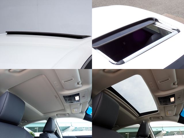 LEXUS ES300h