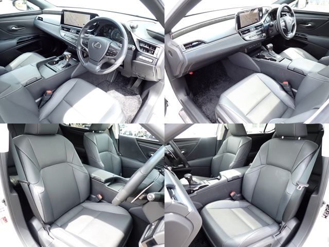 LEXUS ES300h
