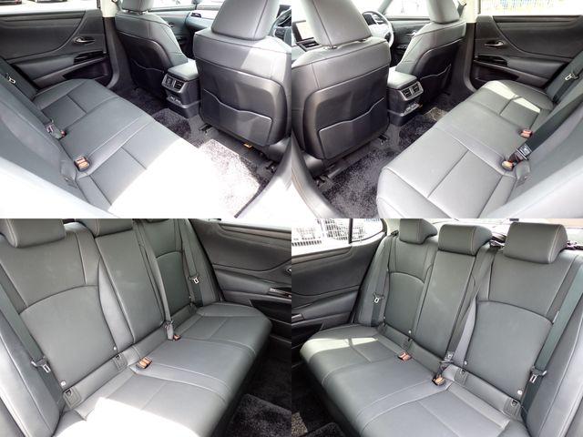 LEXUS ES300h