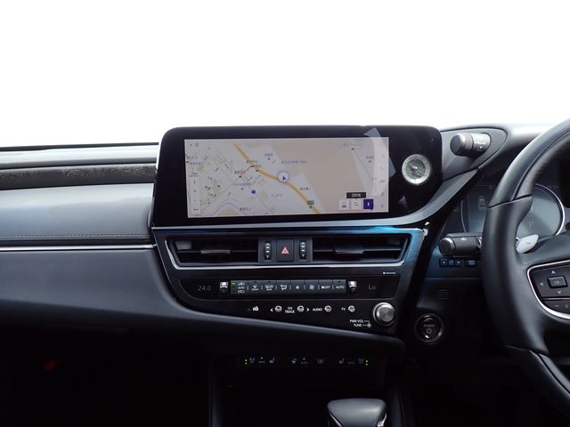 LEXUS ES300h