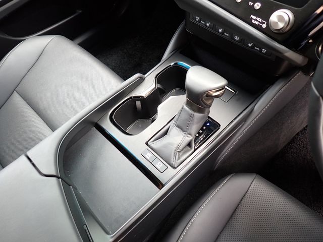 LEXUS ES300h