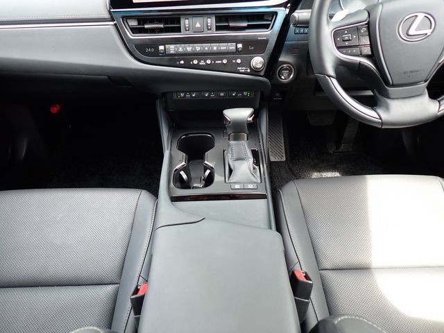 LEXUS ES300h