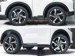 RAIZE HYBRID