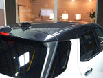 RAIZE HYBRID