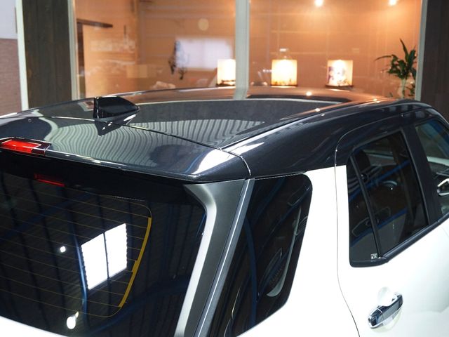 RAIZE HYBRID