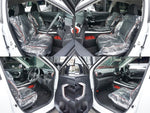RAIZE HYBRID