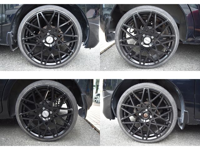 DAYZ ROOX