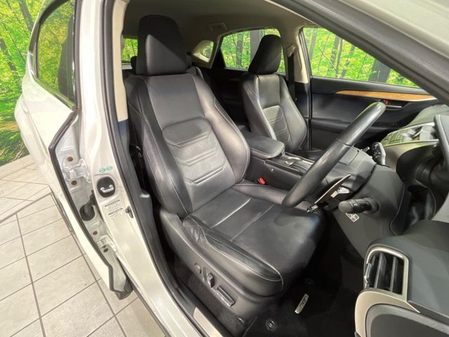 LEXUS NX200t