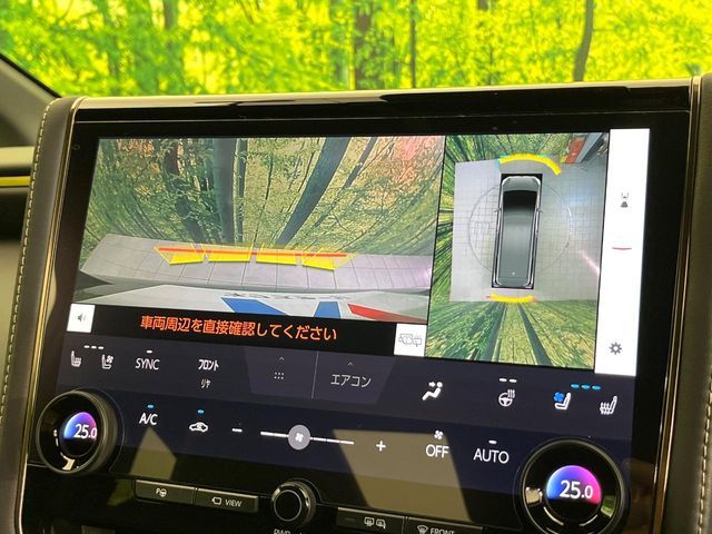 VELLFIRE  HYBRID