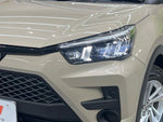 RAIZE HYBRID