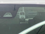 RAIZE