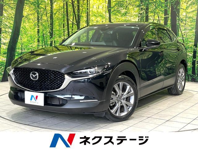 CX-30