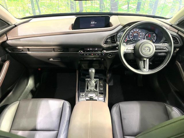 CX-30