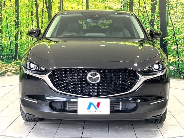 CX-30
