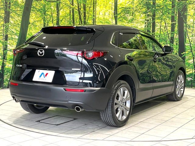 CX-30