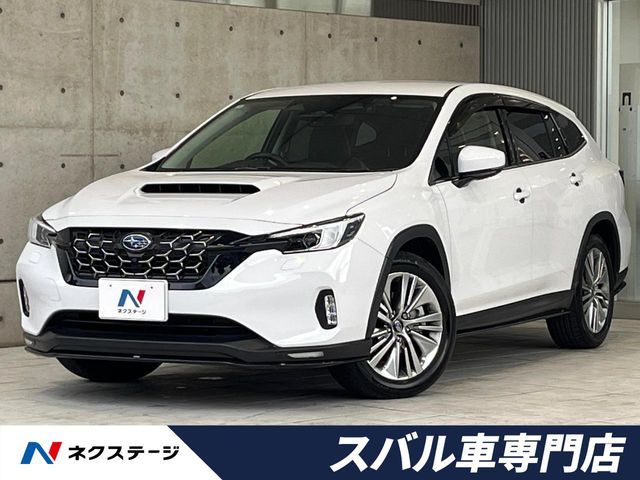LEVORG LAYBACK
