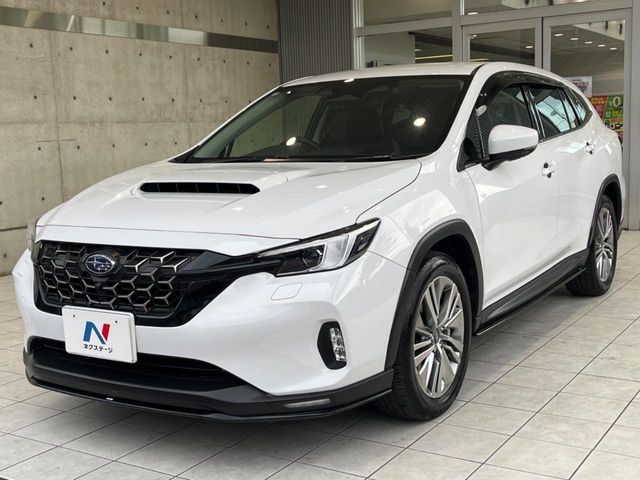 LEVORG LAYBACK