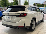 LEVORG LAYBACK