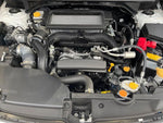 LEVORG LAYBACK