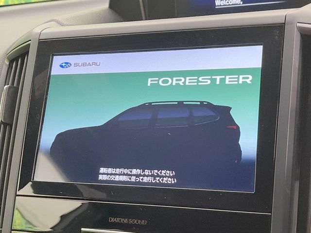 FORESTER