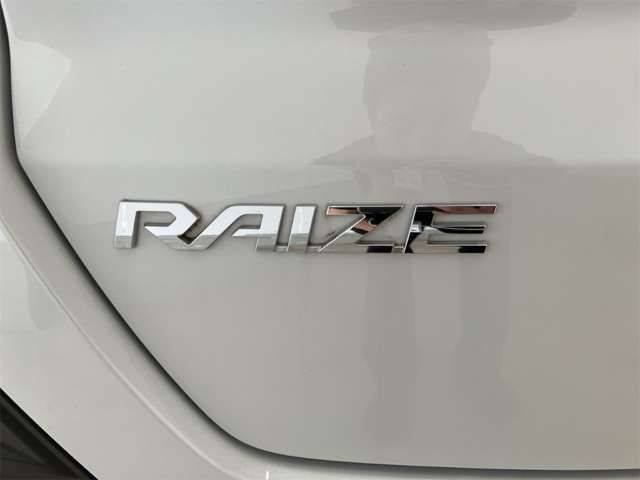 RAIZE