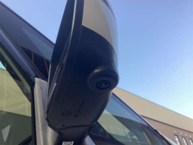 SERENA  S-HYBRID