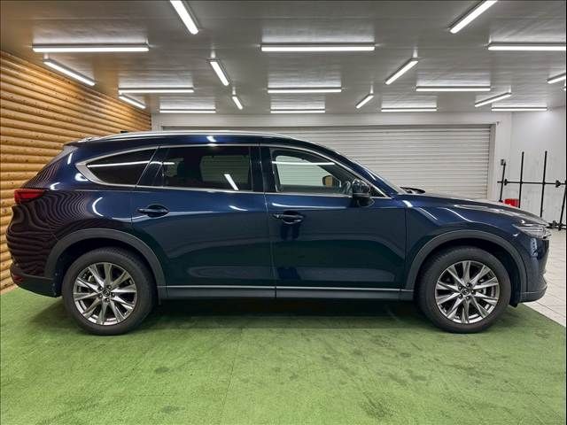 CX-8