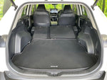 RAV4 HYBRID 4WD