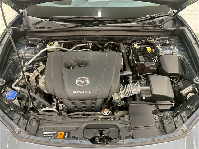 CX-30